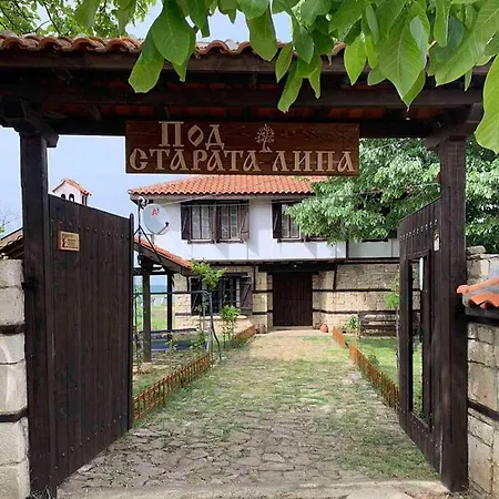 под старата липа Nyaraló *